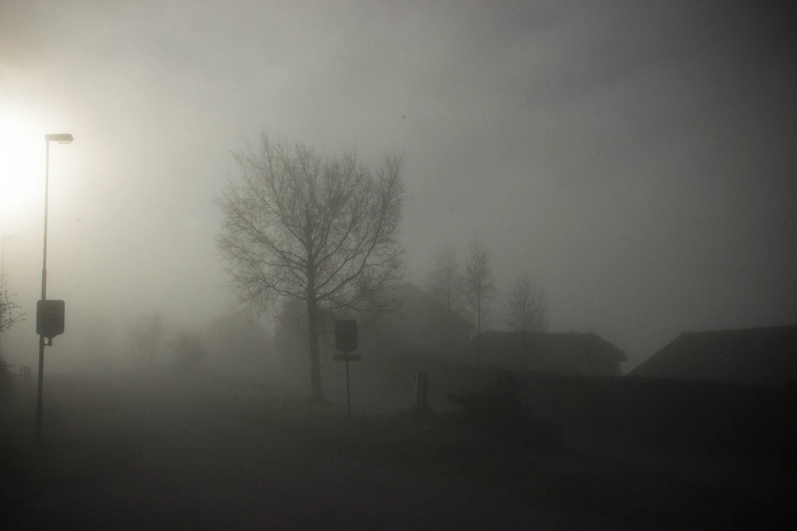 Morning Fog - Larsgården