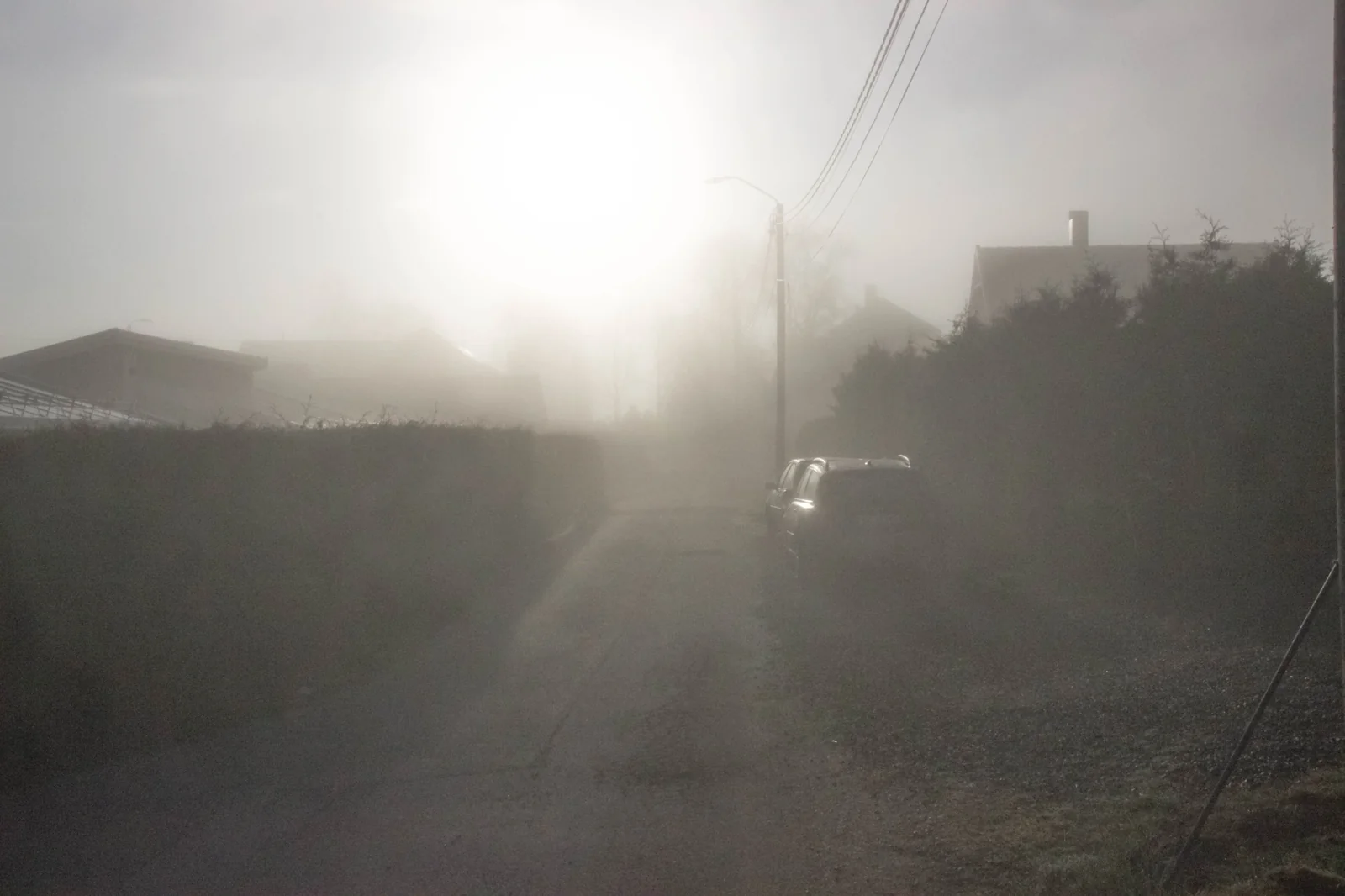 Morning Fog - Larsgården