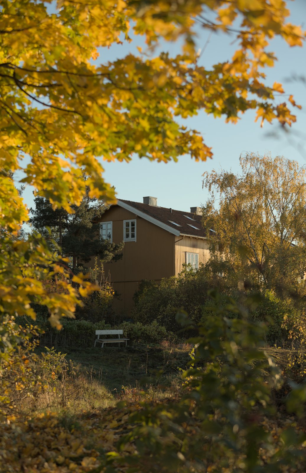 Photograph 54863761558_05587ea69b_o