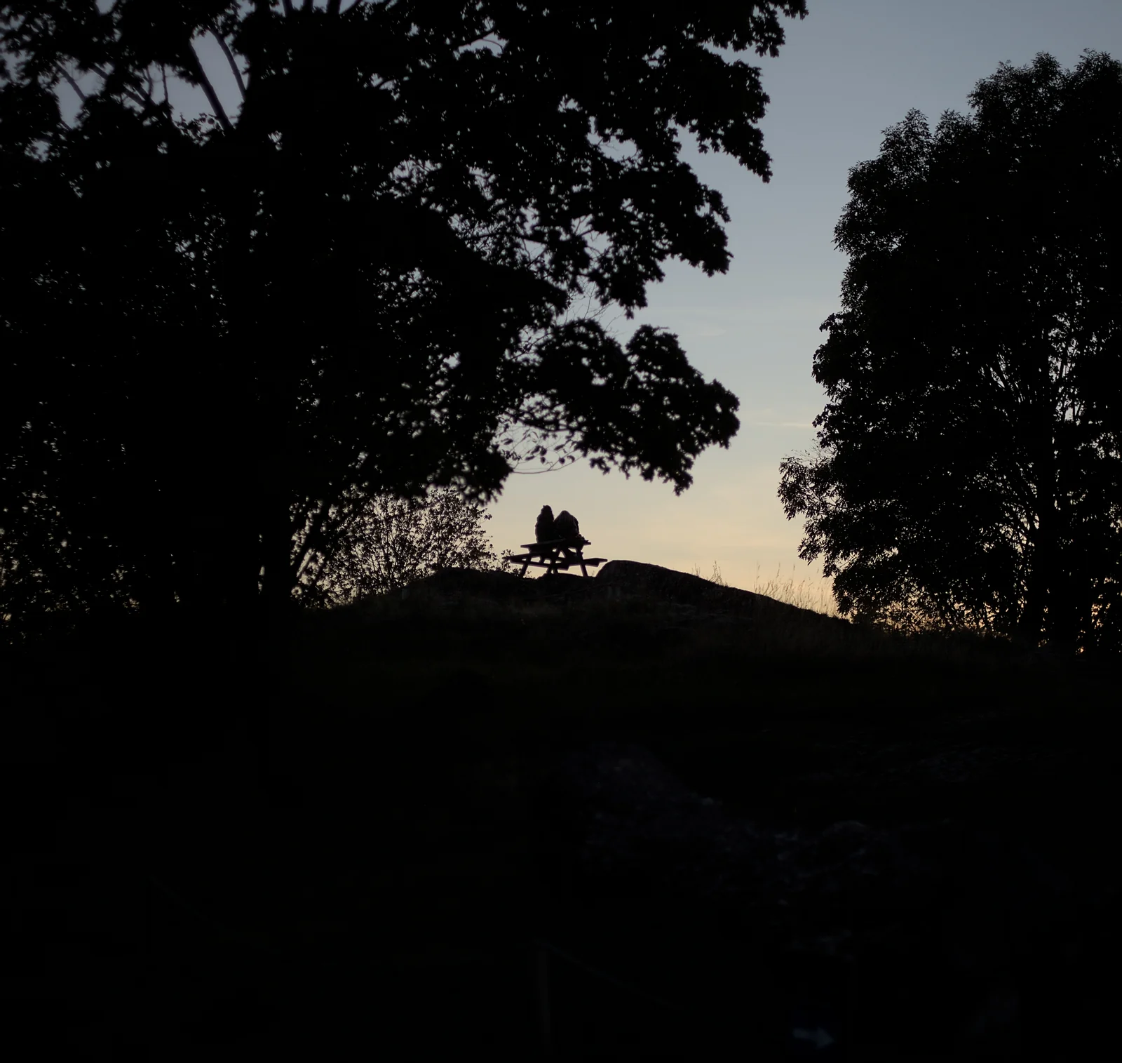 Ola Narr Parken - Silhouettes