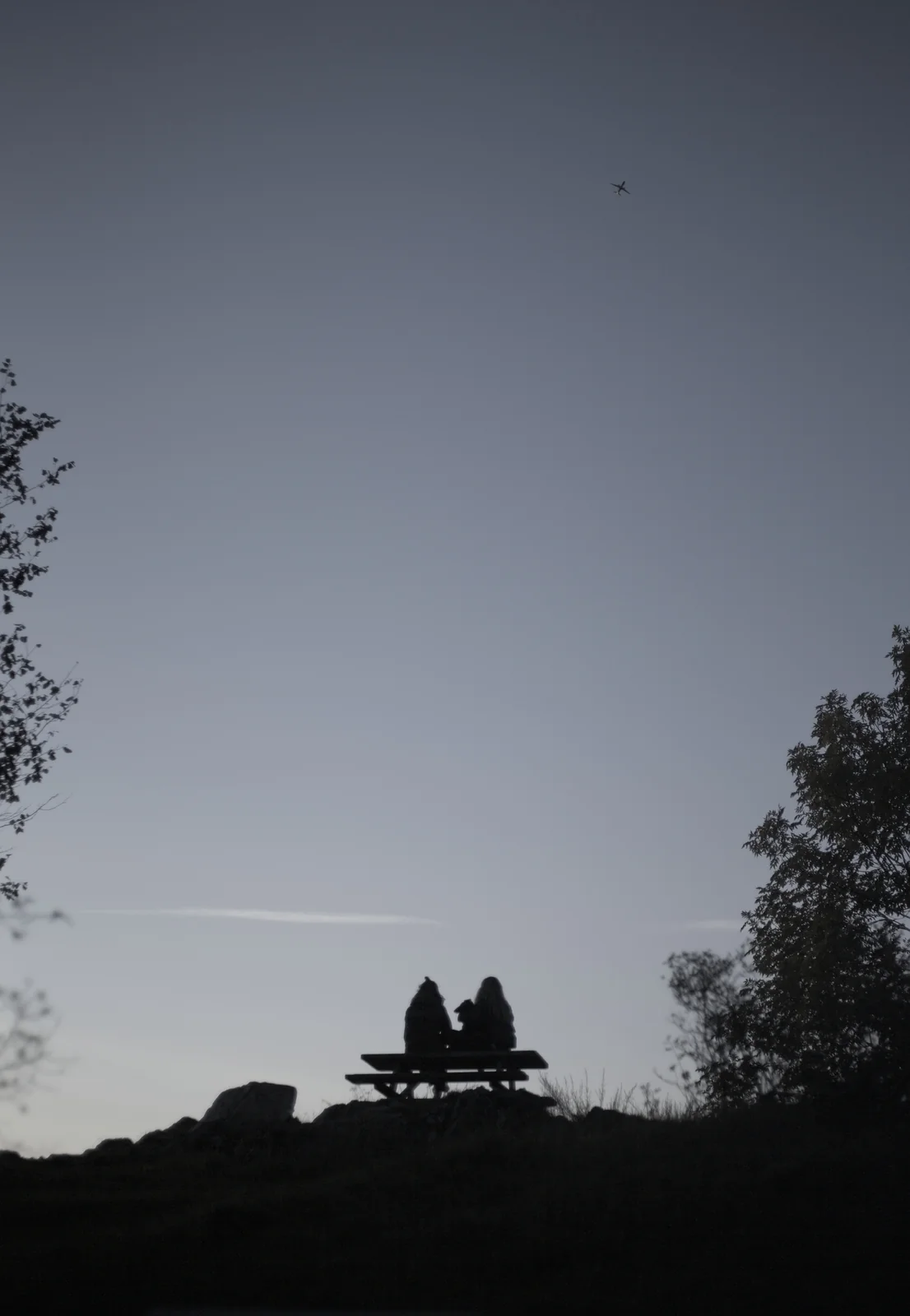 Ola Narr Parken - Silhouettes