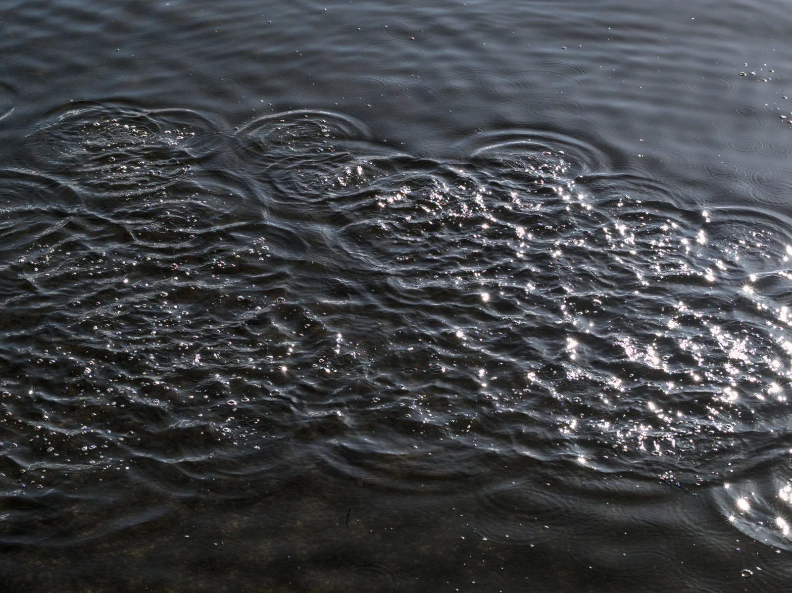 Water Ripples - Tjuvholmen