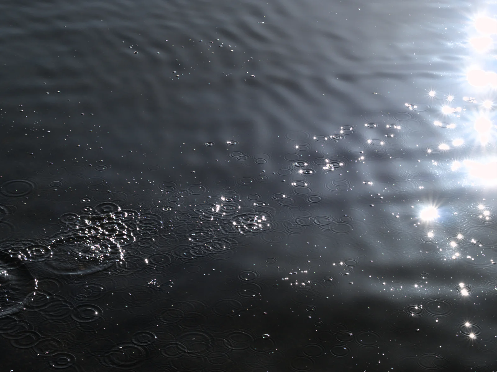 Water Ripples - Tjuvholmen