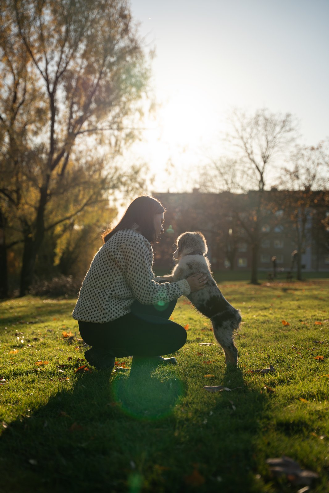 Photograph 54096968652_fa007899f0_o