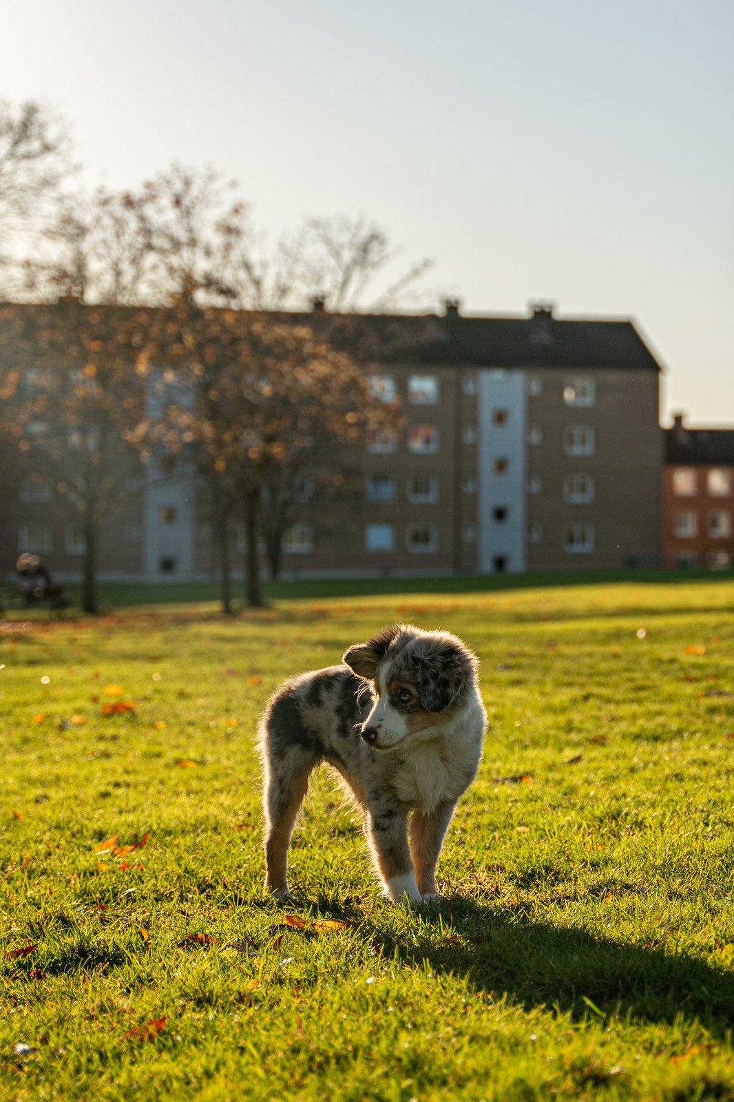 Photograph 54096968997_769550650a_o