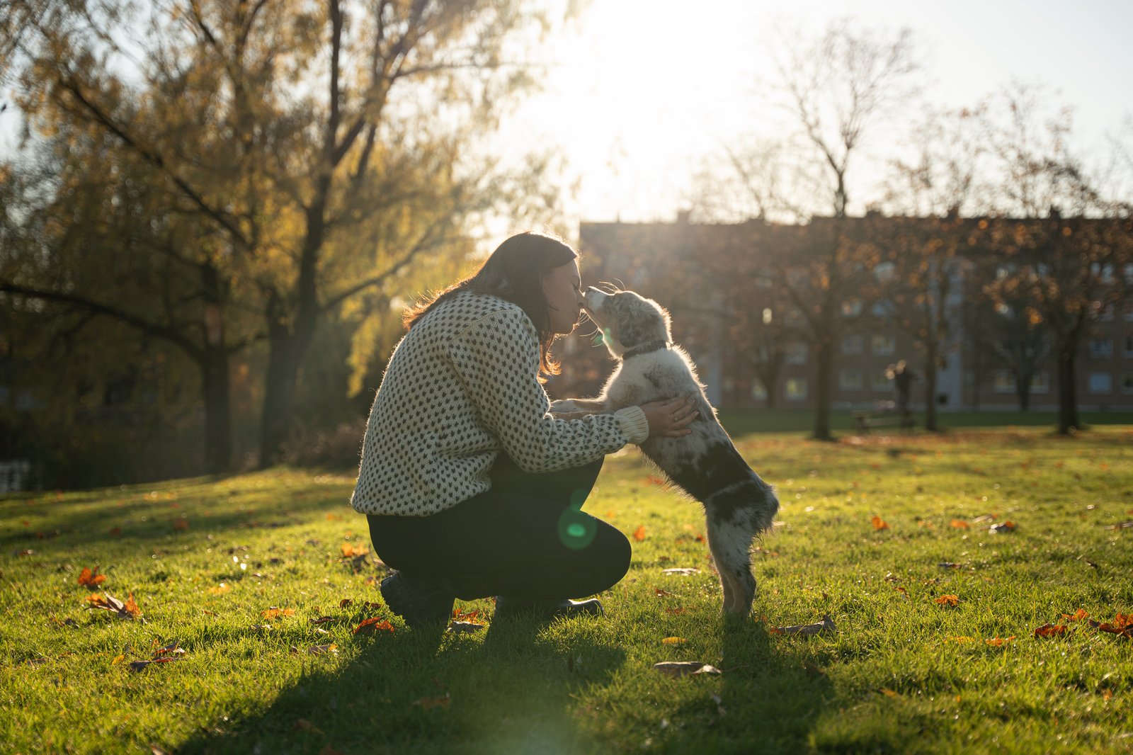 Photograph 54097832501_e15974c217_o