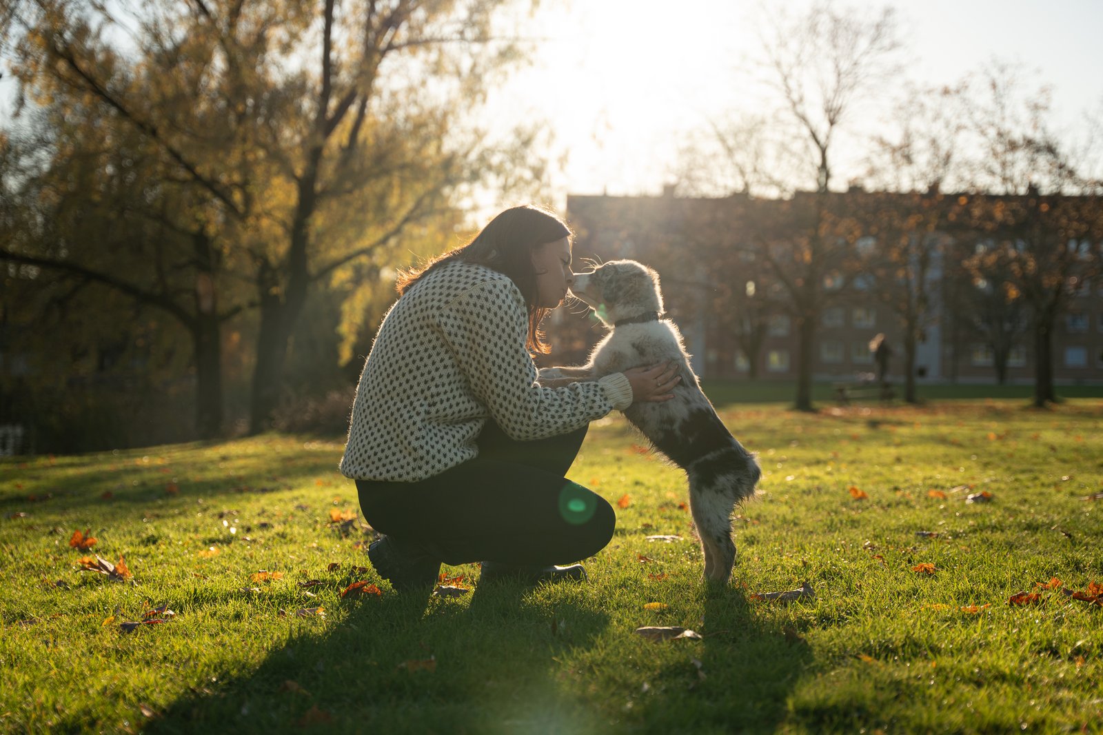 Photograph 54098287965_130e37b250_o