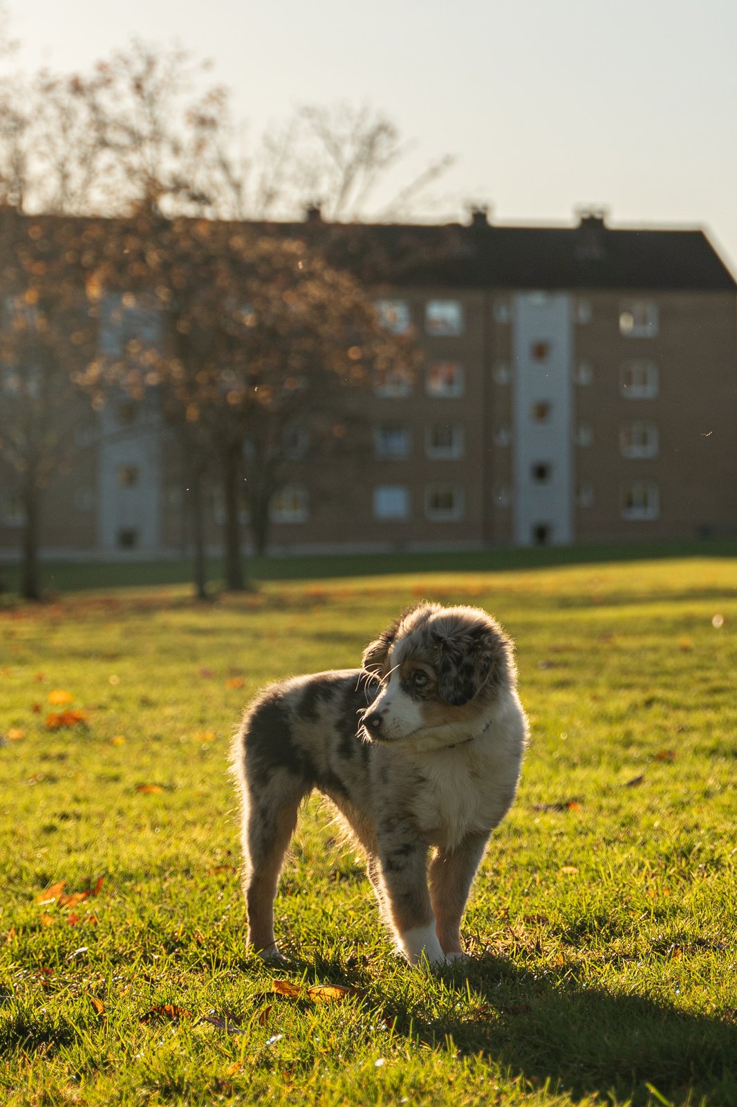 Photograph 54098288240_51b2bc5c8c_o