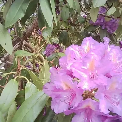 —