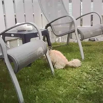—