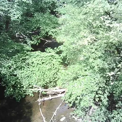 —