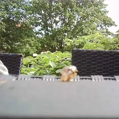 —