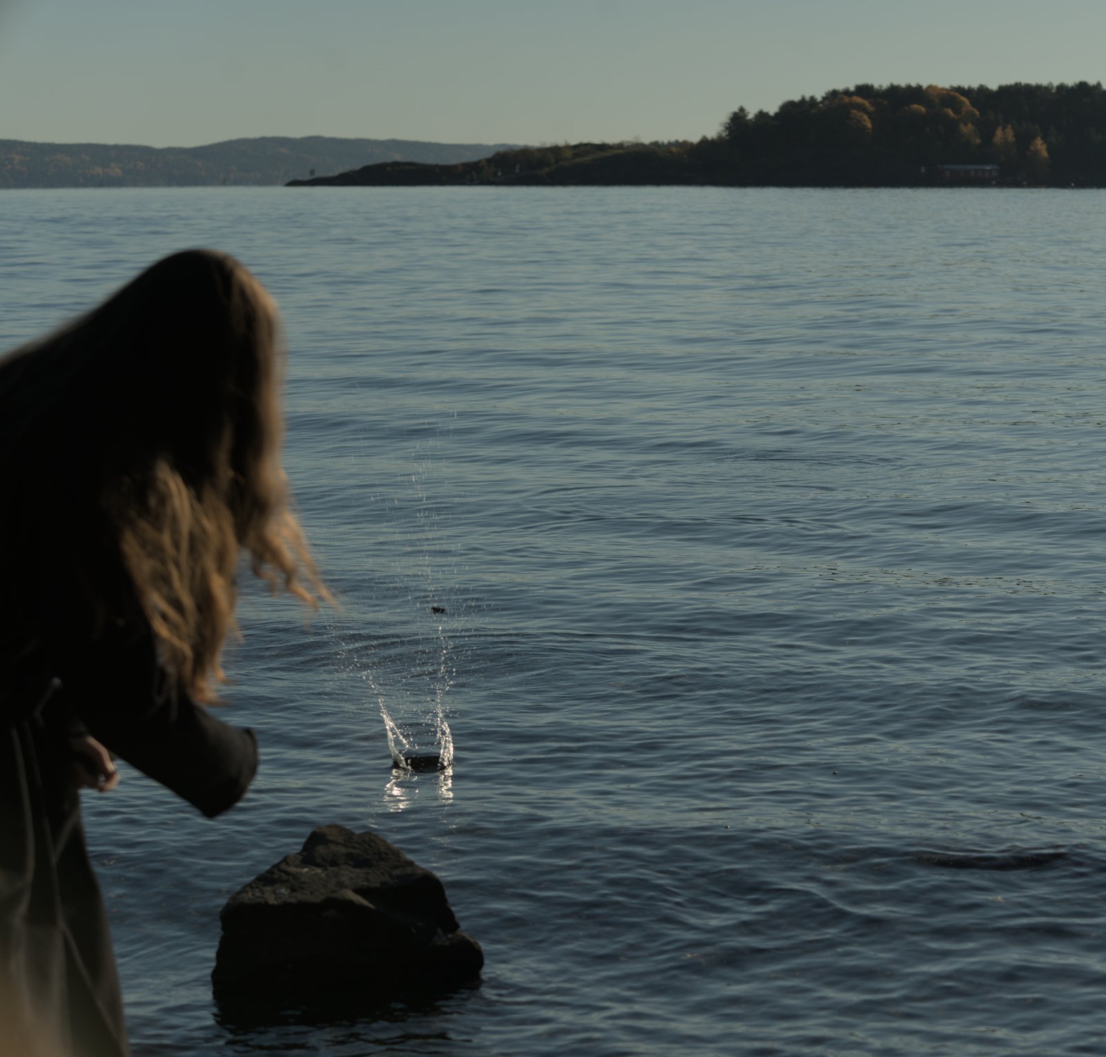 Photograph 54862663632_5cc1b6b457_o